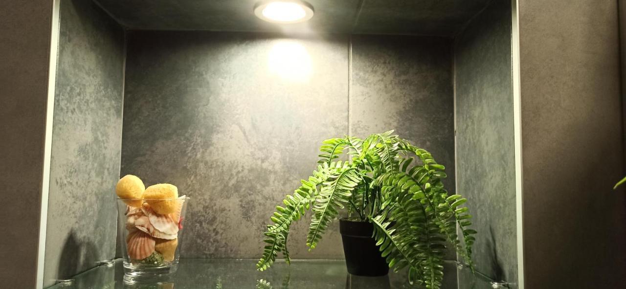 Apartman 29 Διαμέρισμα Βελιγράδι Εξωτερικό φωτογραφία
